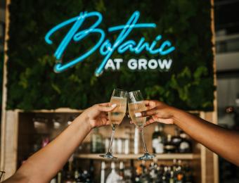 Grow by Giesen Plant Shop and Botanic Cocktails