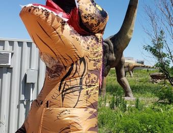 Frolic at the Field Station