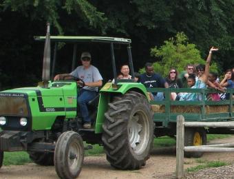 Hayrides