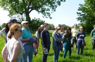 A group of people on the Downs in Bristol, as part of Bristol Walk Fest - credit Bristol Walk Fest