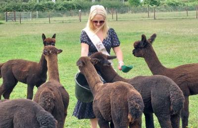 Hen party at Wolfridge Alpaca Farm in Alveston, South Gloucestershire - credit Wolfridge Alpaca Farm