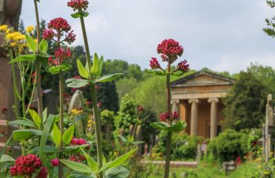 Arnos Vale Cemetery in spring