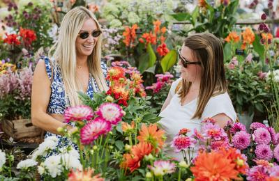 RHS Badminton Flower Show