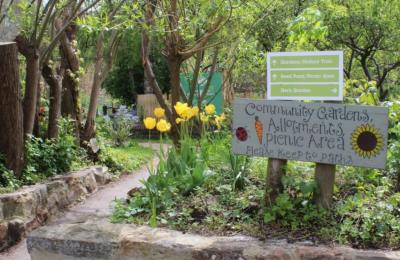 The community gardens allotments at Windmill Hill City Farm, Bristol - credit Windmill Hill City Farm