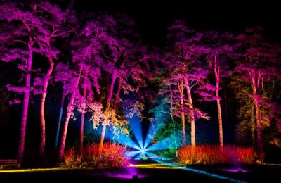 Lit up colourful trees at Westonbirt - Credit Johnny Hathaway