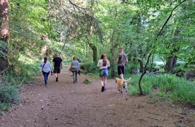 A family with a dog walking in woodland in Bristol - credit Jon Chamberlain