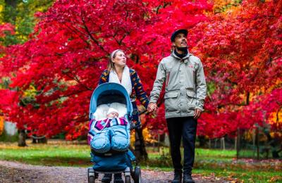 A family walking through the grounds of Westonbirt Arboretum near Bristol in autumn - credit Johnny Hathaway