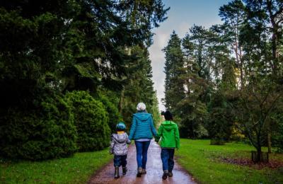 A mother walking with her two young sons through the grounds of Westonbirt Arboretum near Bristol - credit Johnny Hathaway