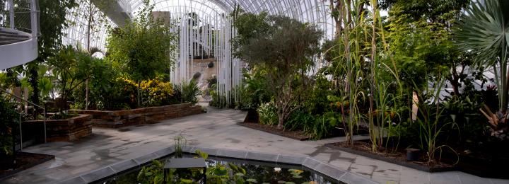 Myriad Botanical Gardens Crystal Bridge Conservatory