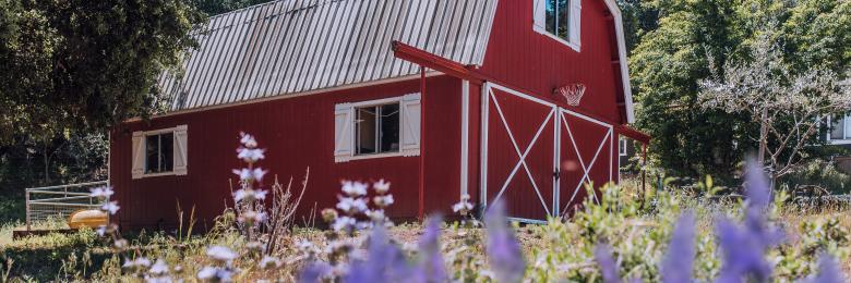 Posts In Farm Tour The Insider S Blog To Slo County