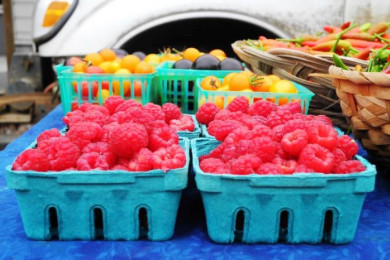 Farmers Market in Humboldt County showcasing fresh produce and artisan goods.