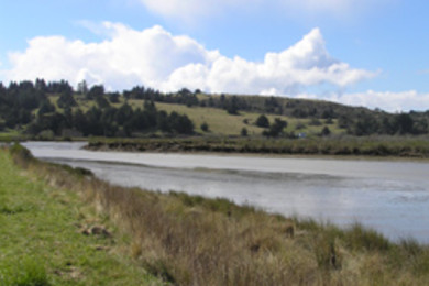 Guided nature walk at Humboldt Bay Wildlife Refuge in Loleta, California.