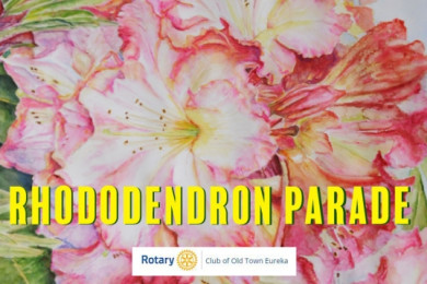 Rhododendron Parade in Eureka, California, showcasing colorful floats and community participants.