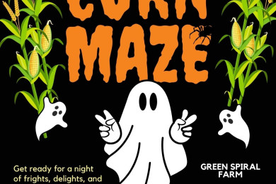 Haunted Corn Maze in Arcata, California, showcasing spooky decorations amidst corn stalks.