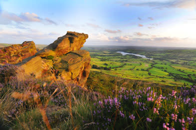 STAF - Featured Items - Countryside the Roaches-1x1