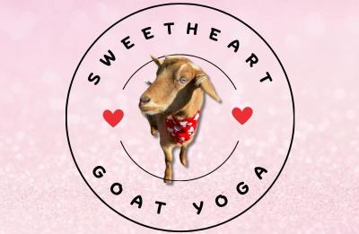 Sweetheart Goat Yoga