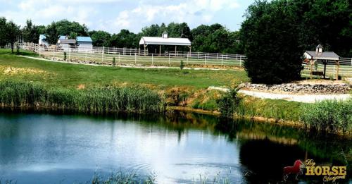 Big Horse Vineyards