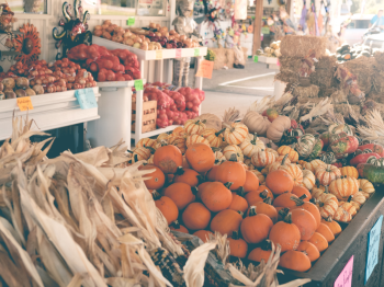 fall produce options including pumpkins and corn at a farmers market