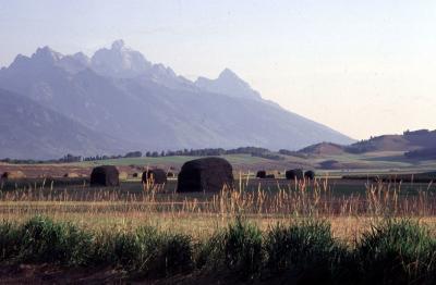 View of Grand Teton National Park
