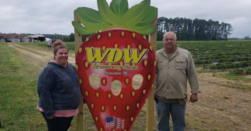 Owners of WDW Farms in Johnston County, NC.