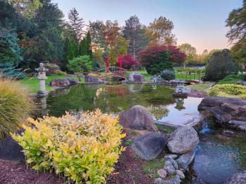 Schedele Arboretum