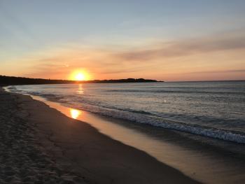 Dreaming of Swimming in Leelanau