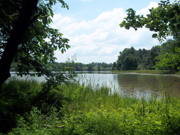 Lake Chillisquaque Montour Preserve