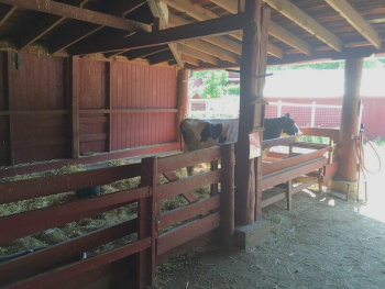 Muscoot Farm interior