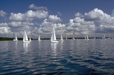 Sailboats in regatta