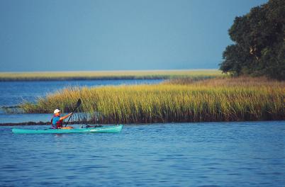 Kayaker in marsh