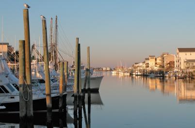Things To Do In Carolina Beach Nc Carolina Beach