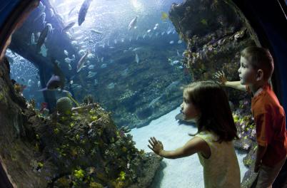 NC Aquarium at Fort Fisher