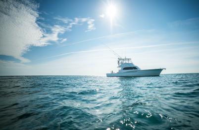 4x3 Carolina Beach Deep Sea Fishing
