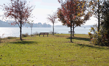 View of trees and a lake in Concord Park in Knoxville, TN