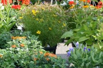 Chelsea Farmers Market