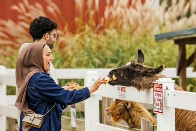 petting farm