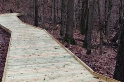 wooded walkway