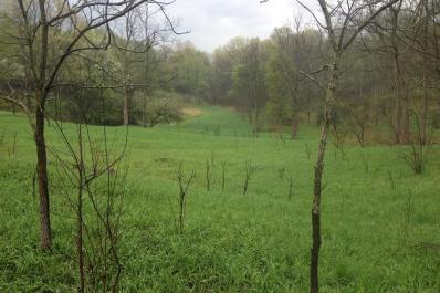 sharon hills nature preserve 2