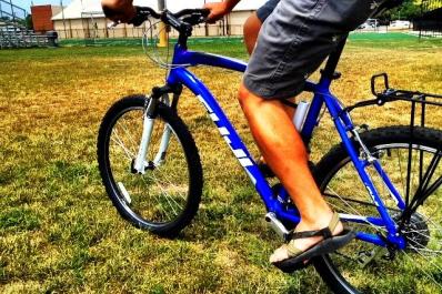 Blue Bike Rentals