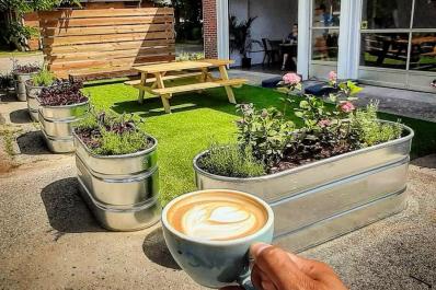cafeliv