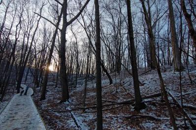 Trails in winter