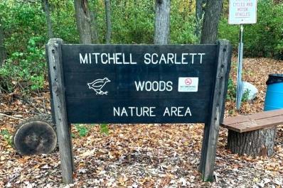 mitchell scarlett woods sign