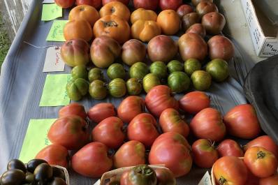 Emma Acres Farm