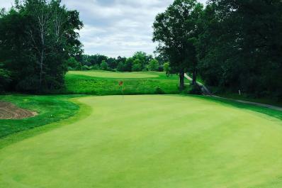Whitmore Lake Links