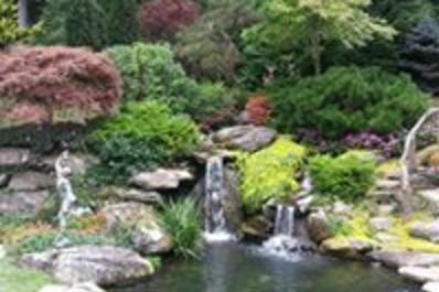 Blue Ridge Irrigation Image 2