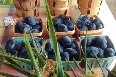 Hillside Park Farmers Market