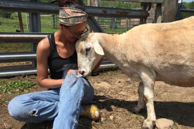 INDRALOKA ANIMAL SANCTUARY