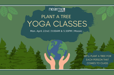 Yoga Tree Class Levels - Yoga Tree