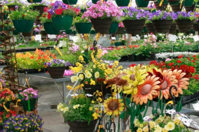 Camelot Gardens