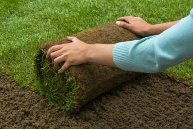 springcreeksod